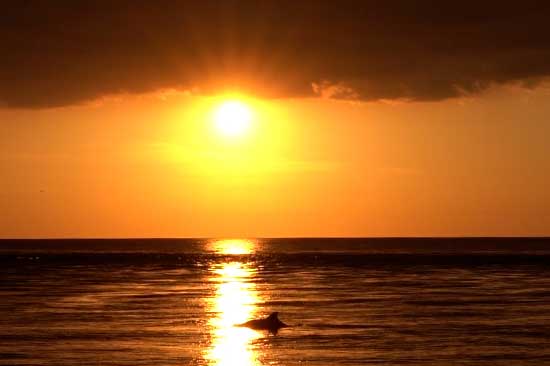 sunset view