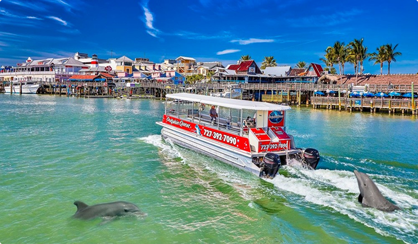 dolphin quest