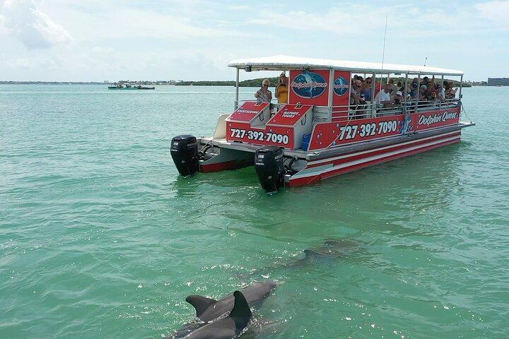 A dolphin leaping out of the water near a Dolphin Quest boat