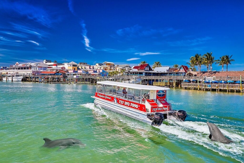 Dolphins jumping in the wake of a Dolphin Quest boat