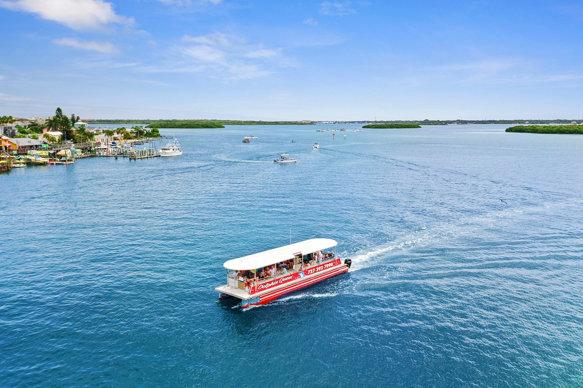 Dolphin-Watching Adventure